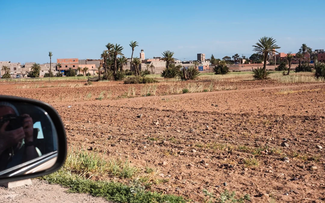 Reflected Self: Environmental Selfie