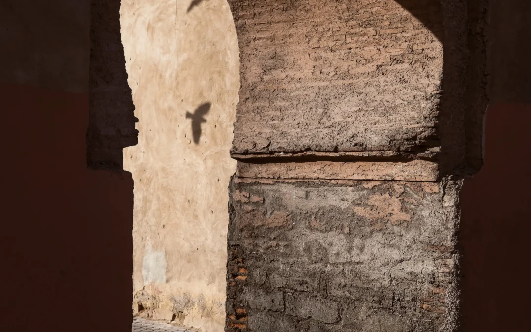 Seeing the Potential