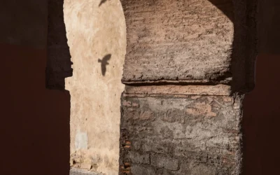 Seeing the Potential